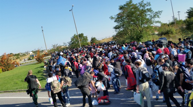 Edirne: refugees demand safe passage to Greece